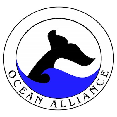 Ocean-Alliance-Ryan-Pratt